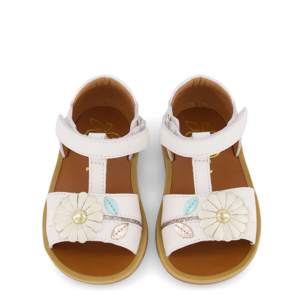 Poppy Daisy Sandals Platina 4 Poppy Daisy Sandals Platina - Image 2